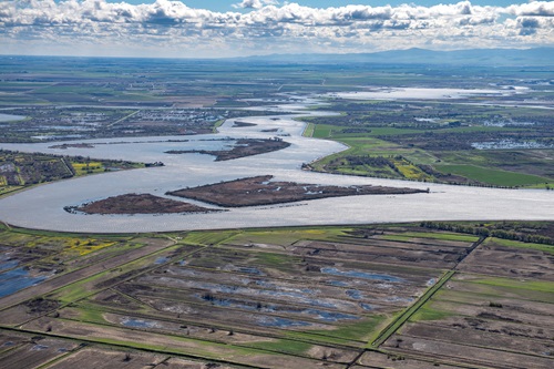 delta san joaquin river dwr KJ Delta Aerials 2633 03 08 19