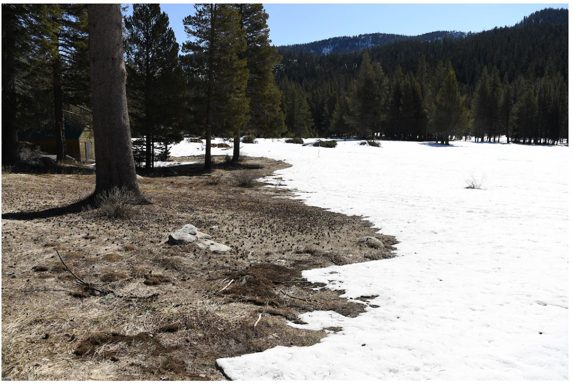 California Department of Water Resources Third Snow Survey of 2020 Finds Statewide Snowpack is 46 Percent of the March Average - Sierra Sun Times