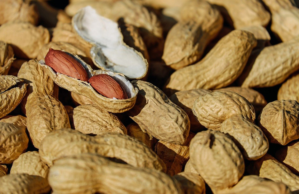 nuts 1736520 1280