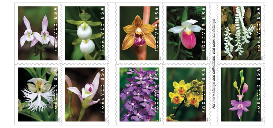 usps wild orchids stamps 1