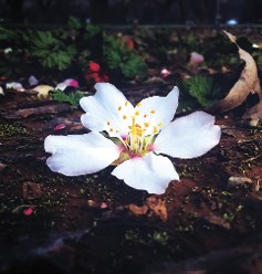 4701 P12 PhotocontestBASecond