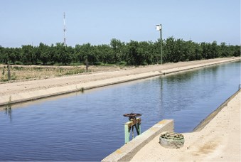 Balancing Water Supply For All Is 2020 Priority, California Farm Bureau Federation Says - Sierra Sun Times