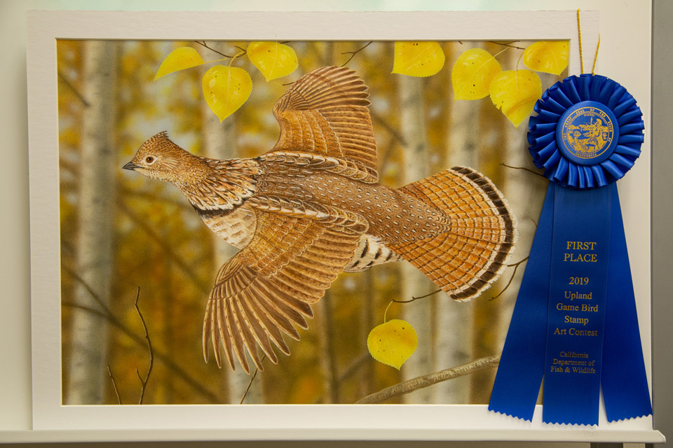 cdfw 20191218 avu upland game contest 9