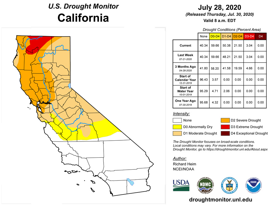 ca20200728 CA trd