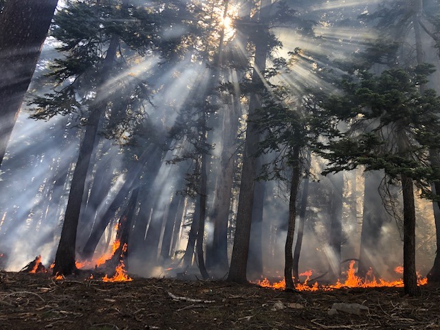 fire1