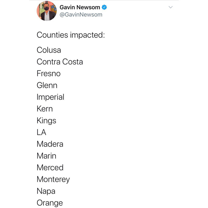 newsom3