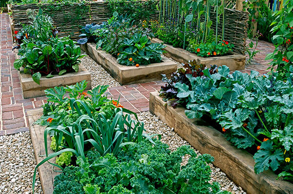 GardeningQAGarden600