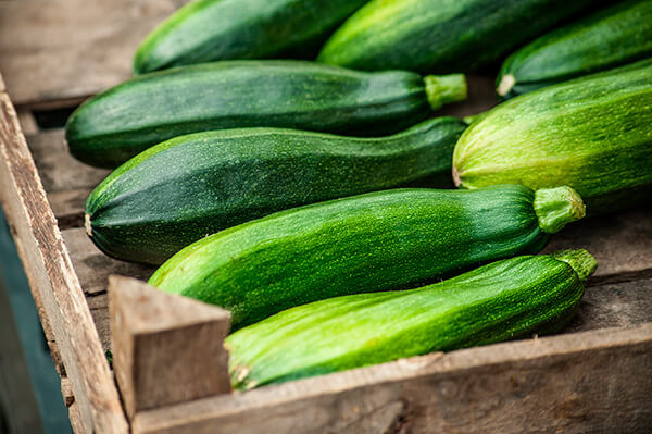 GardeningQAZucchini600