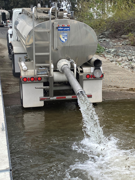 cdfw smolt