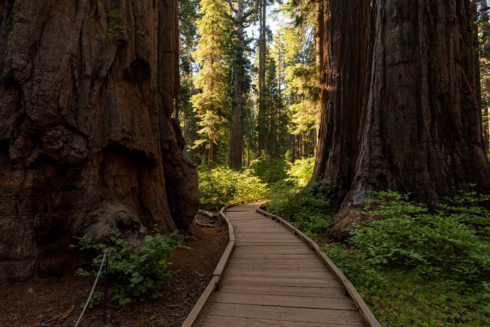 ca state parks