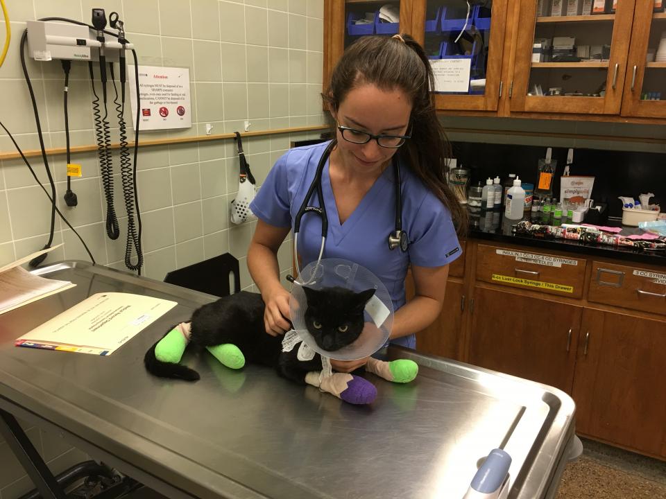 student with burned cat