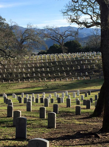 cemetery2