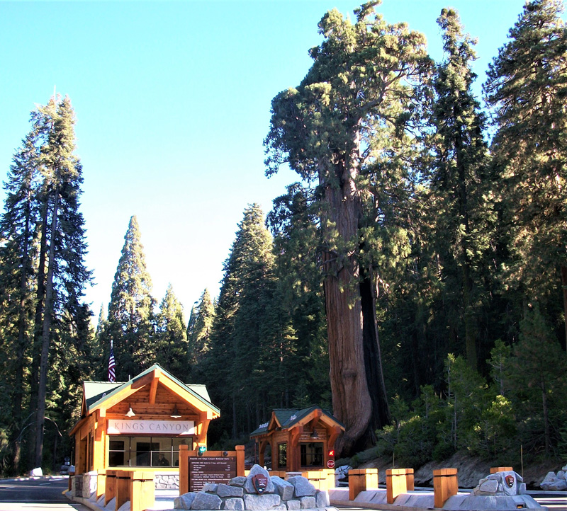 kings canyon