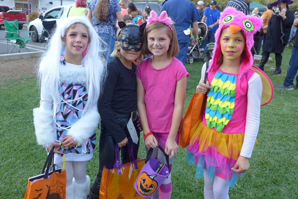 Candy Drive Photo 2016