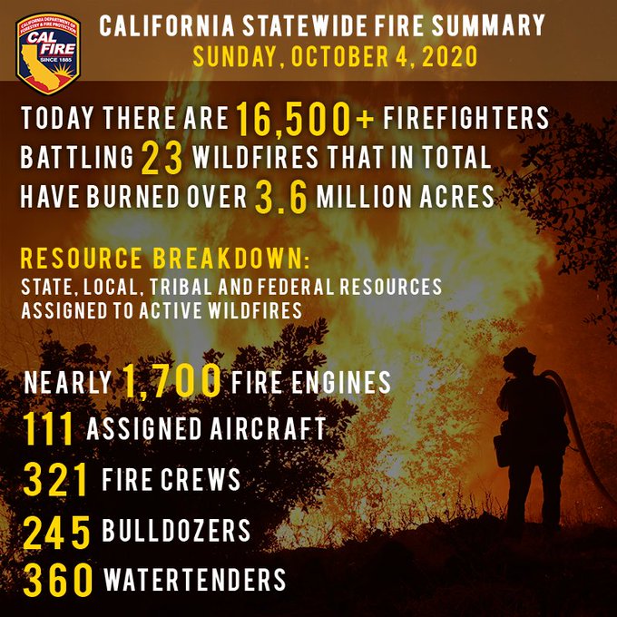 fire1004