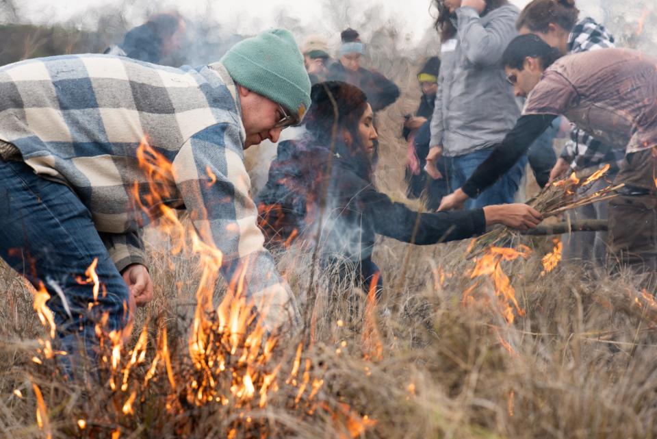 woodland cultural burn 5