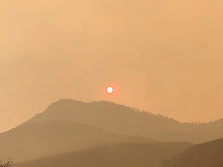 seqIMG 0677 2