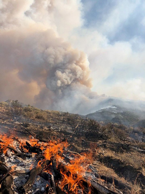 slink fire credit blm