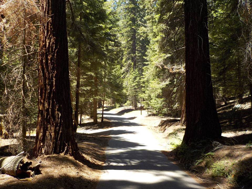 Mineral King Road NPS Photo