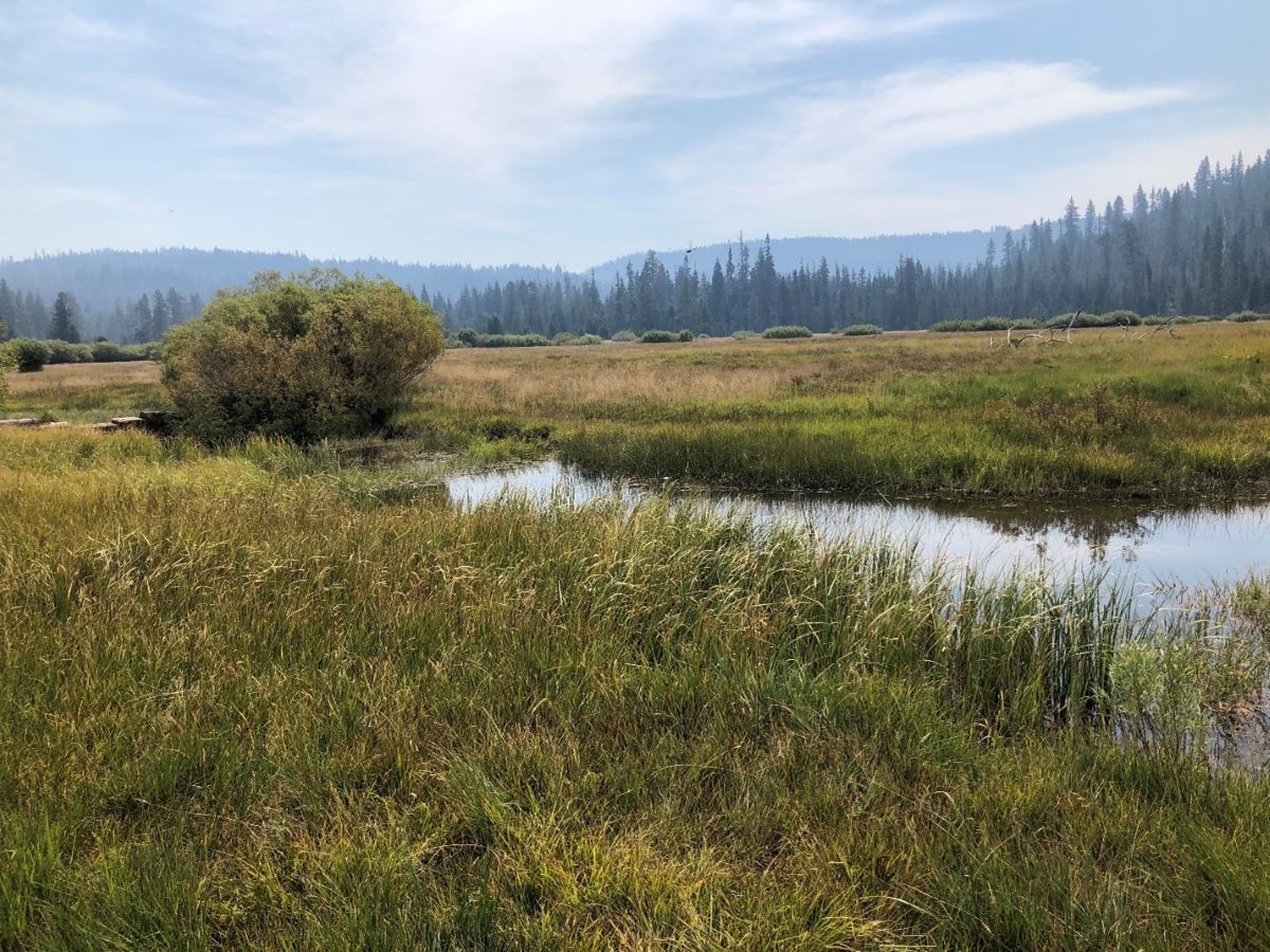 buttecreekhousemeadow 1200