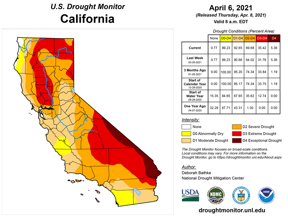 ca20210406 CA trd