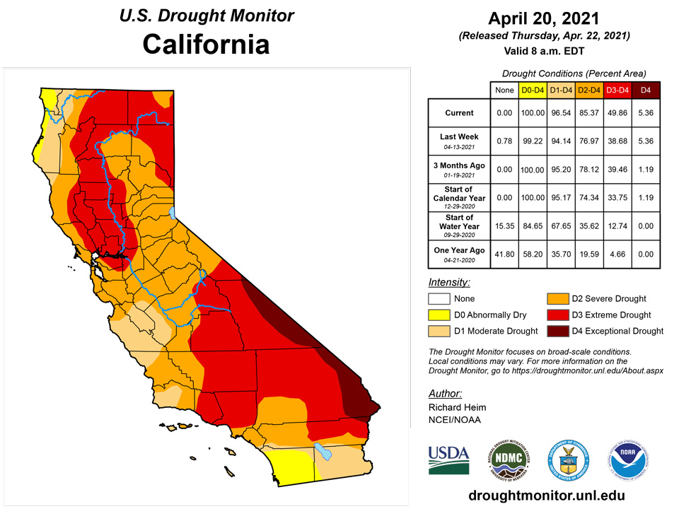 ca20210420 CA trd
