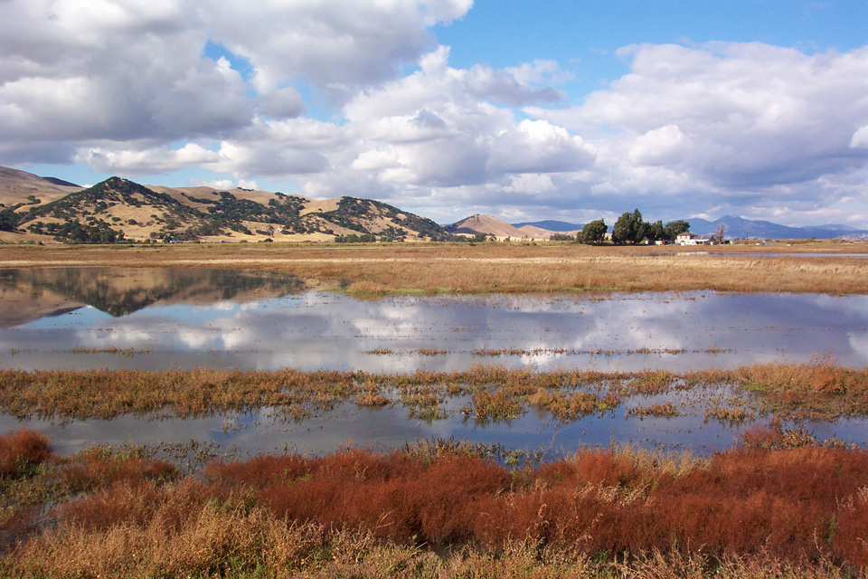 suisun marsh credit Angelo Garcia Jr DWR