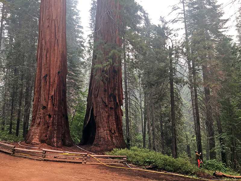 yosemite Merced Grove Sprinklers 2018 Ferguson Fire Courtesy of NPS