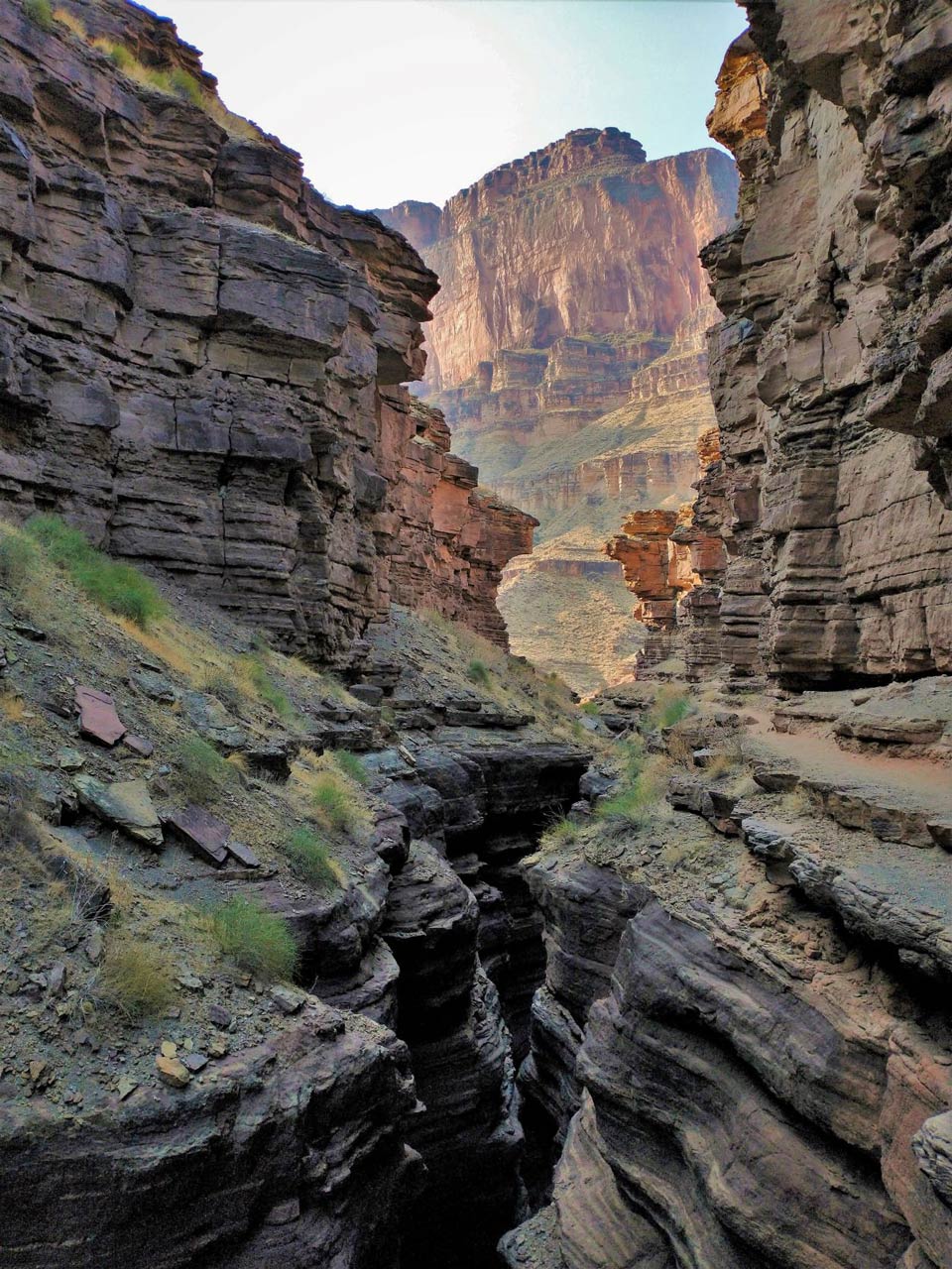 Deer Creek Sprutta