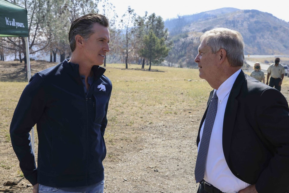 Newsom 3