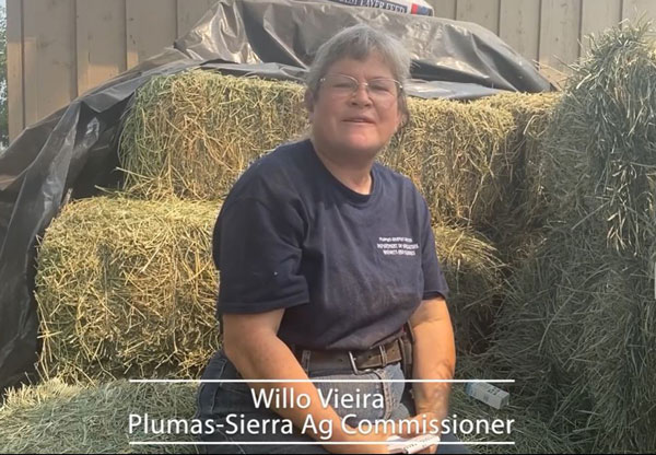 Plumas SierraAgComm WilloVieira