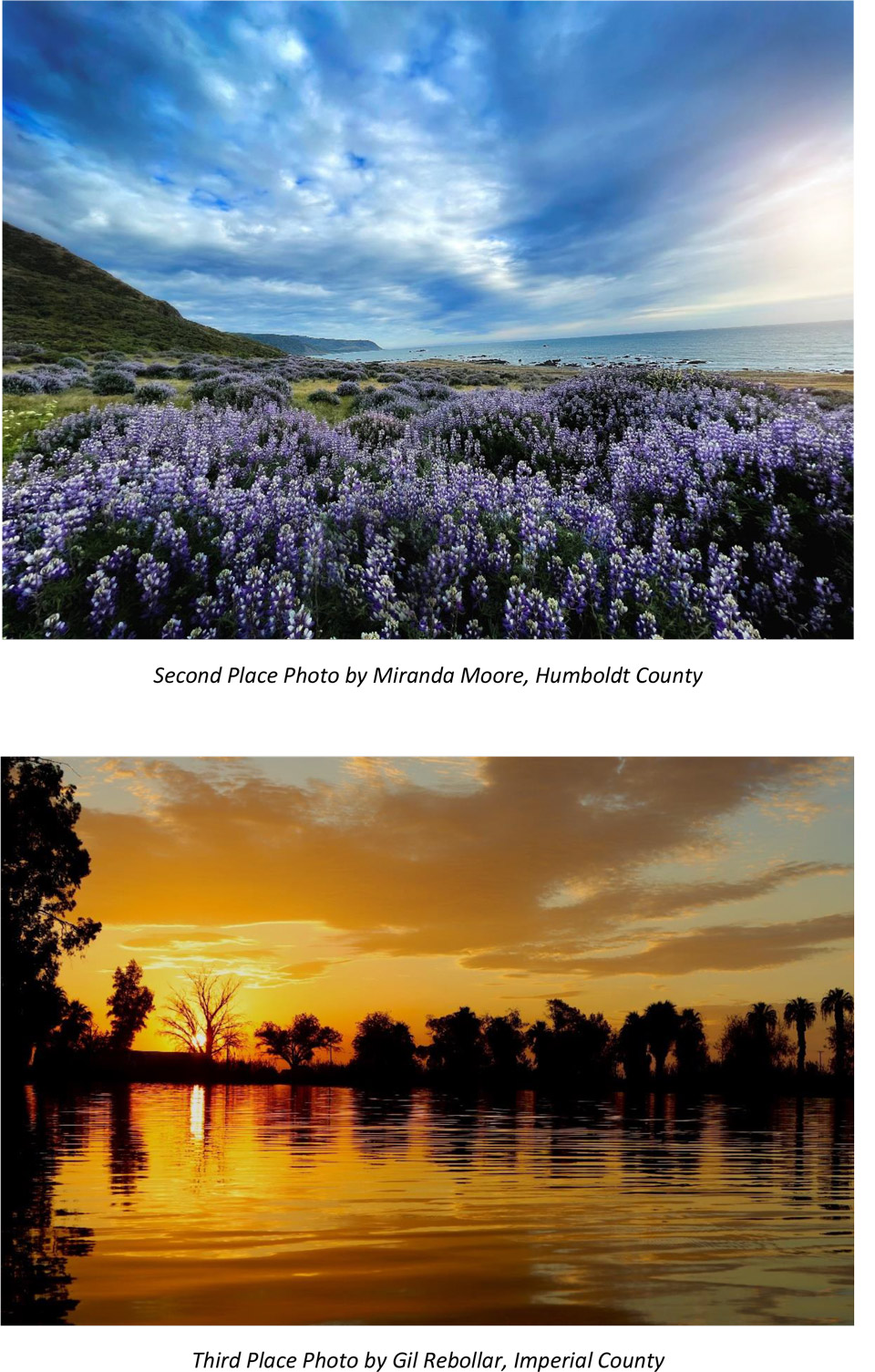 RCRC Announces Winner of Fifth Annual Rural Photo Contest 3