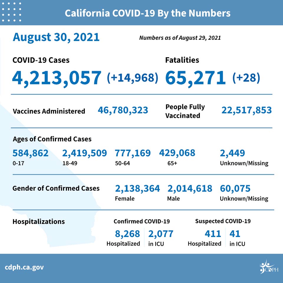 ca31