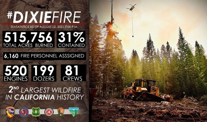 dix 812 stats