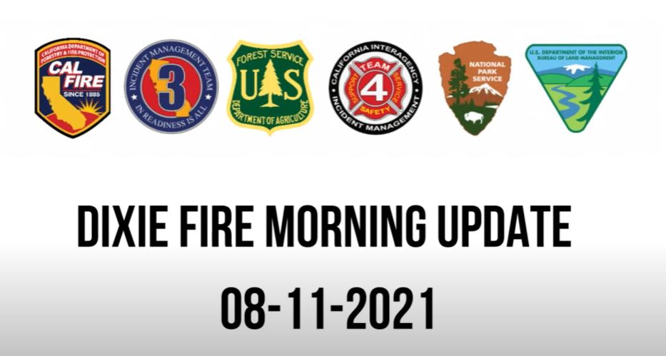dixie811graphic
