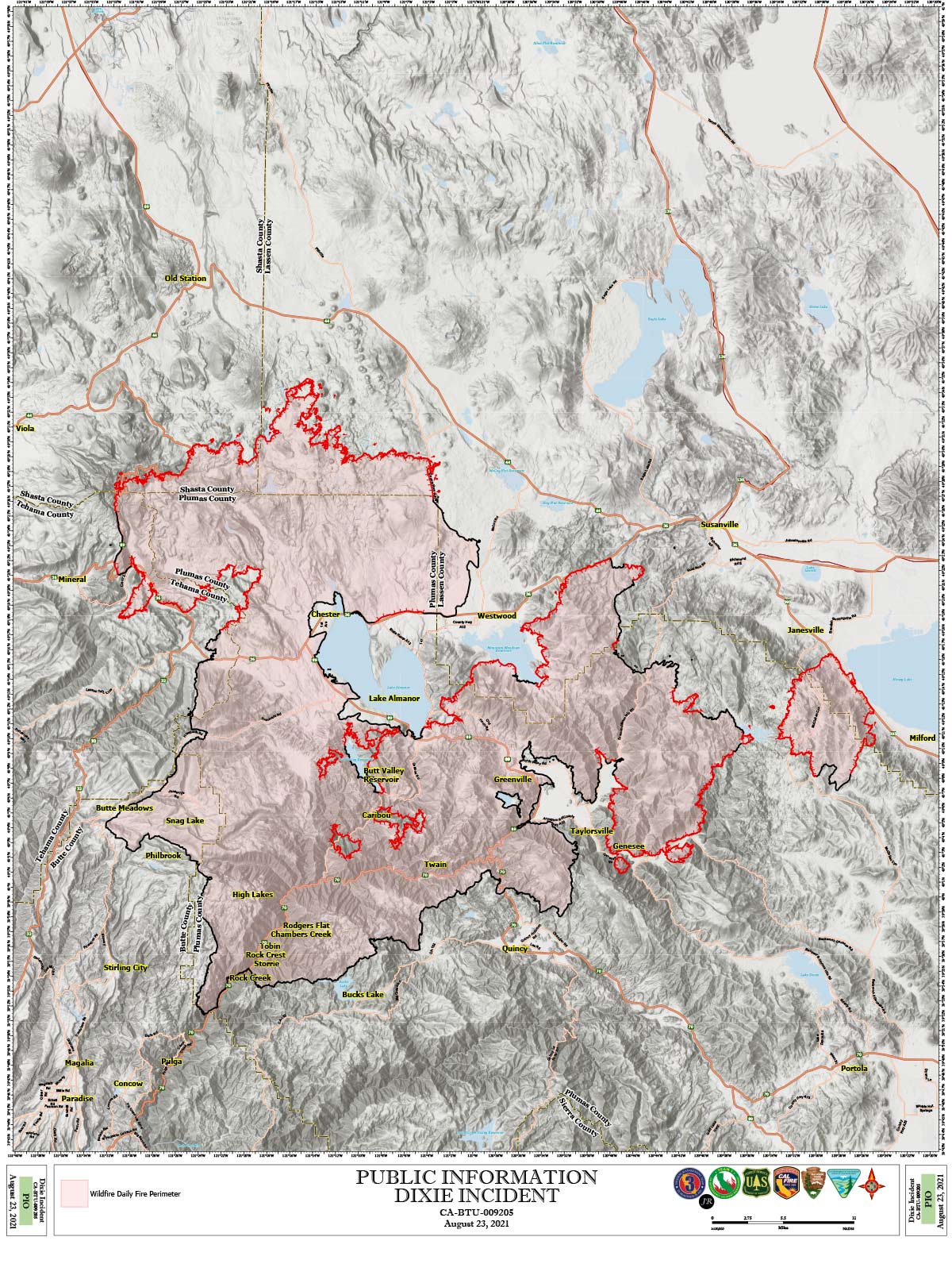 dixie823pio