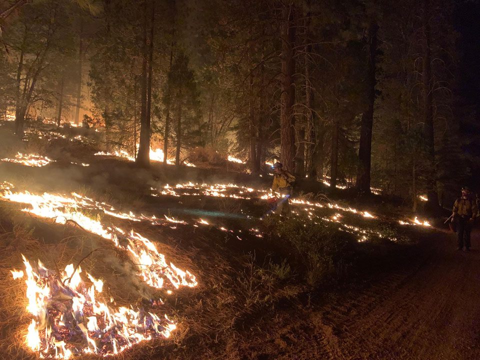 fire2021 08 03 09.24.47
