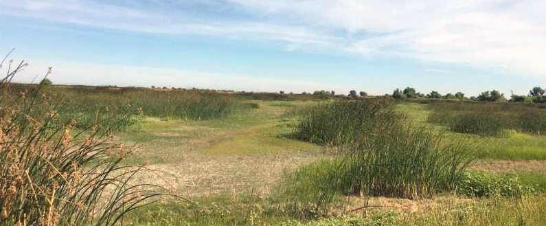 north grasslands e1594927478492