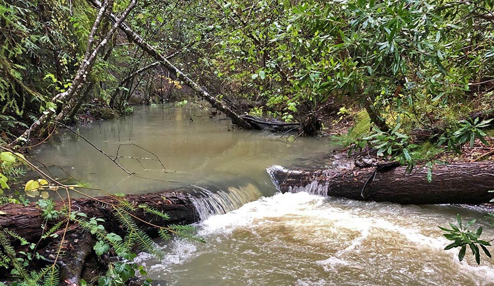 East Branch North Fork Big River cdfw