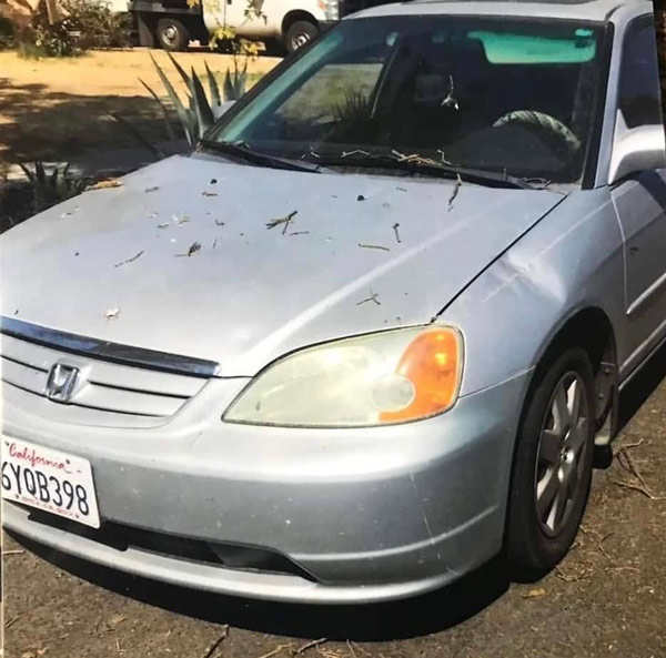 FCSO Tomlinson missing car