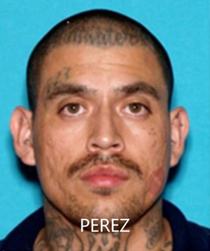 MPD Perez