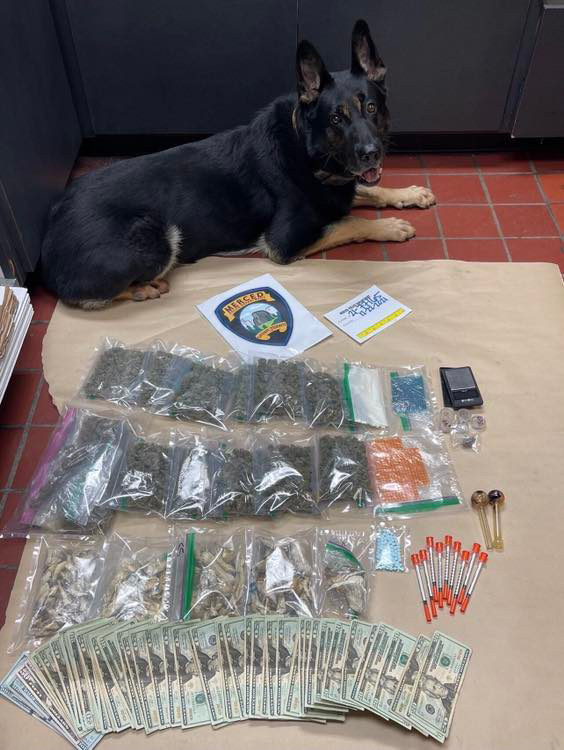 MPD narcotics