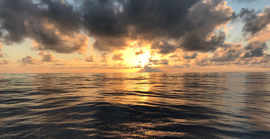 ocean hero