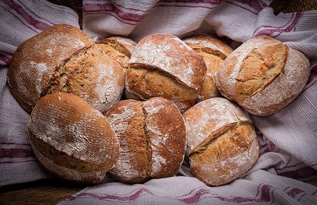 RN sourdough microbes