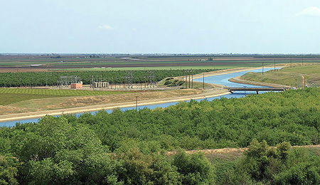cvp ag1