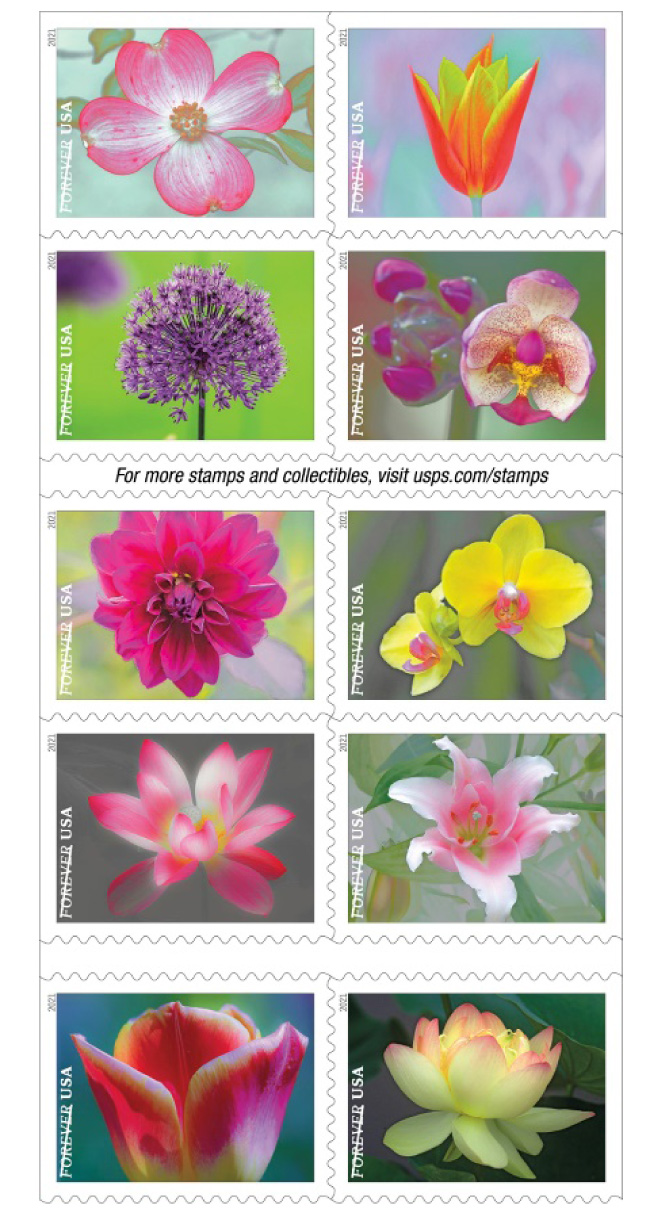 usps 0225ma garden beauty forever stamps are available for purchase 1