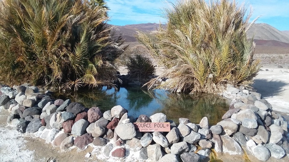 Palm Springs source pool nps