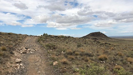 Petroglyph National Monument credit nps