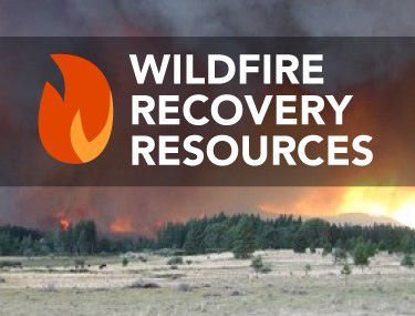 California State Recovery Operations Launch New Online Tool: Debris Dashboard to Track Wildfire Cleanup Progress - Vimarsana News