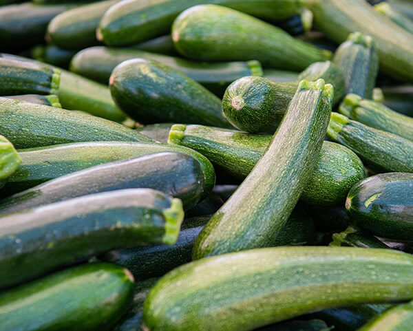 GardeningQAZucchini600